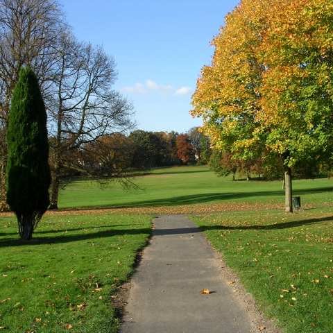 Horsforth Park Run