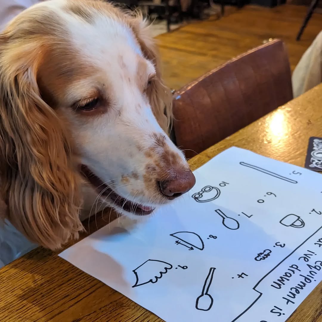 Quizerella